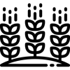 Desenho de planta
