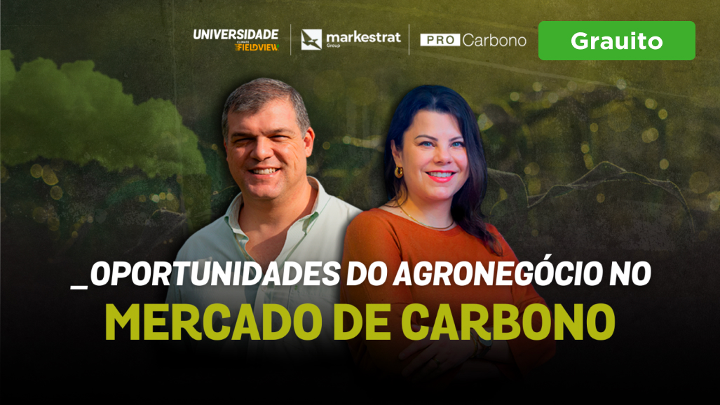 Curso Oportunidades do Agronegócio no Mercado de Carbono